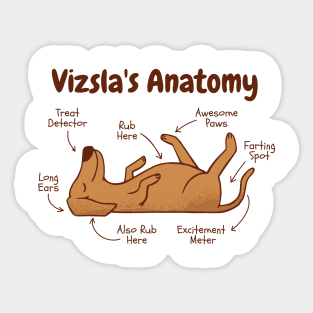 Anatomy Of A Viszla T Sticker